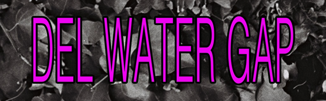 Del Water Gap - Official Merchandise